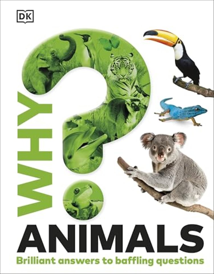 Why? Animals