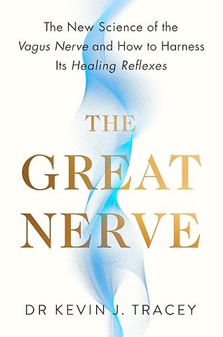 The Great Nerve