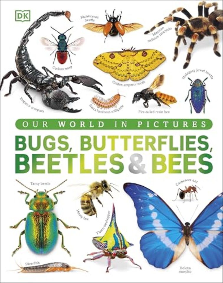 Bugs, Butterflies, Beetles and Bees