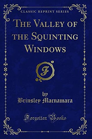 The Valley of the Squinting Windows (Classic Reprint)