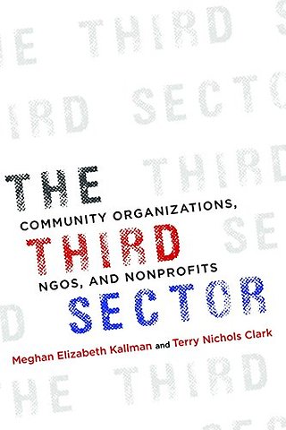 The Third Sector – Community Organizations, NGOs, and Nonprofits