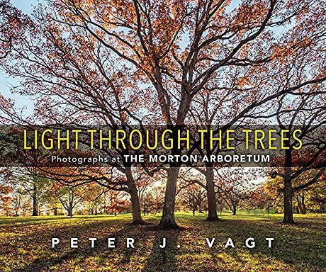 Light Through the Trees – Photographs at the Morton Arboretum