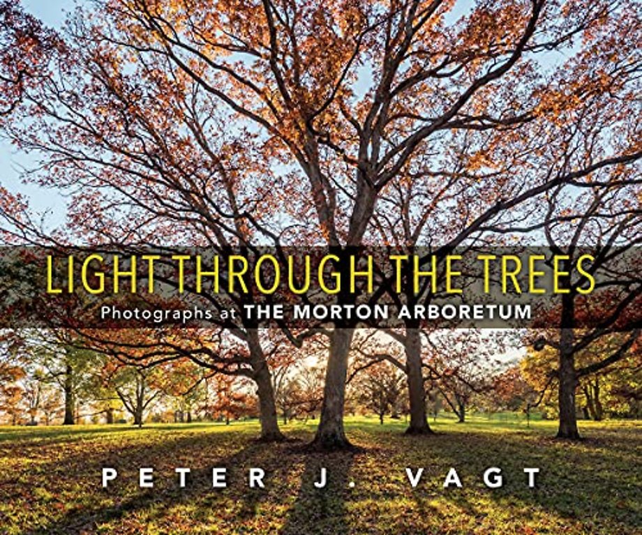 Light Through the Trees – Photographs at the Morton Arboretum