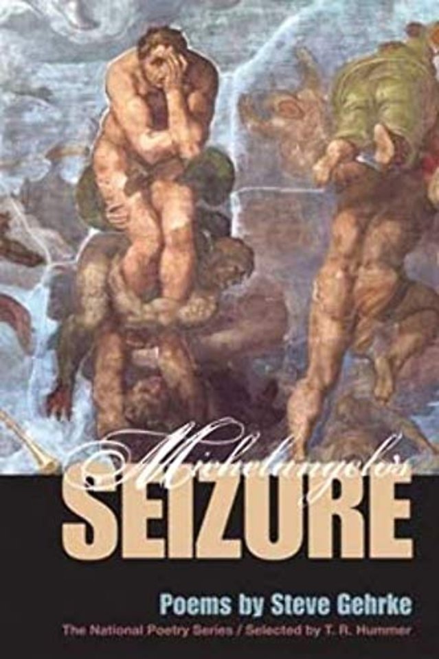 Michelangelo`s Seizure