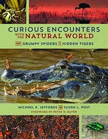 Curious Encounters with the Natural World – From Grumpy Spiders to Hidden Tigers