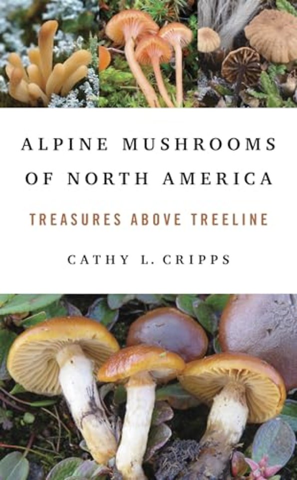Alpine Mushrooms of North America – Treasures Above Treeline