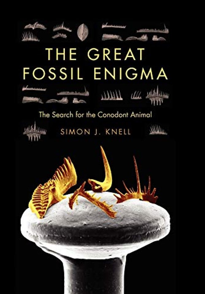 The Great Fossil Enigma – The Search for the Conodont Animal