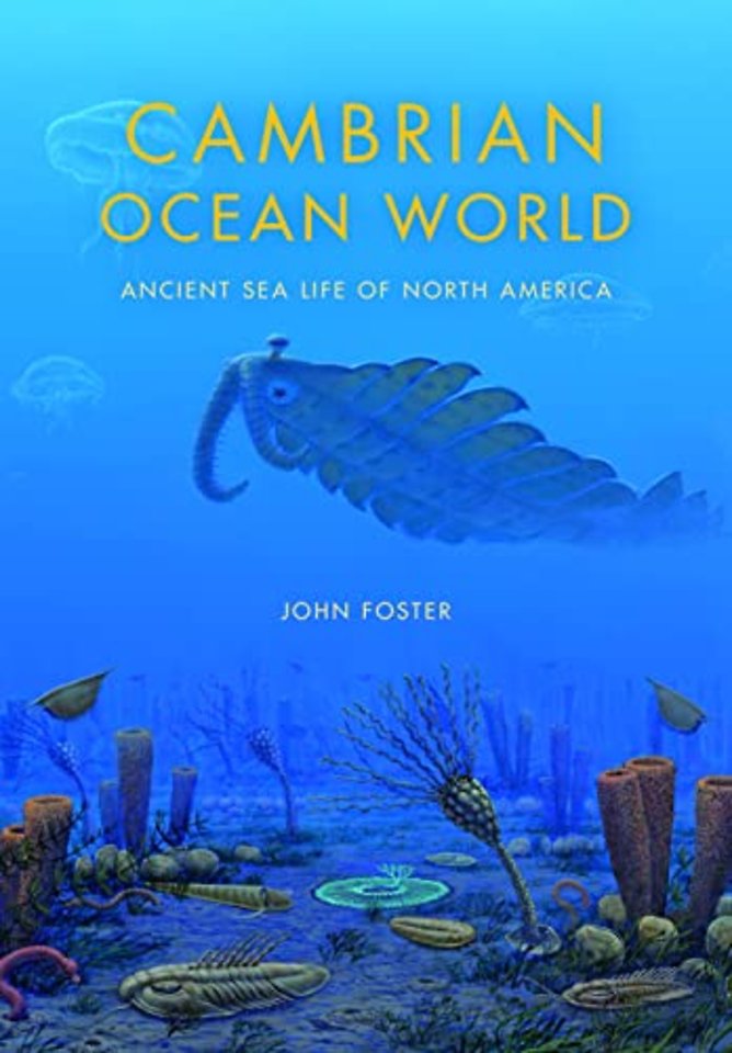 Cambrian Ocean World – Ancient Sea Life of North America