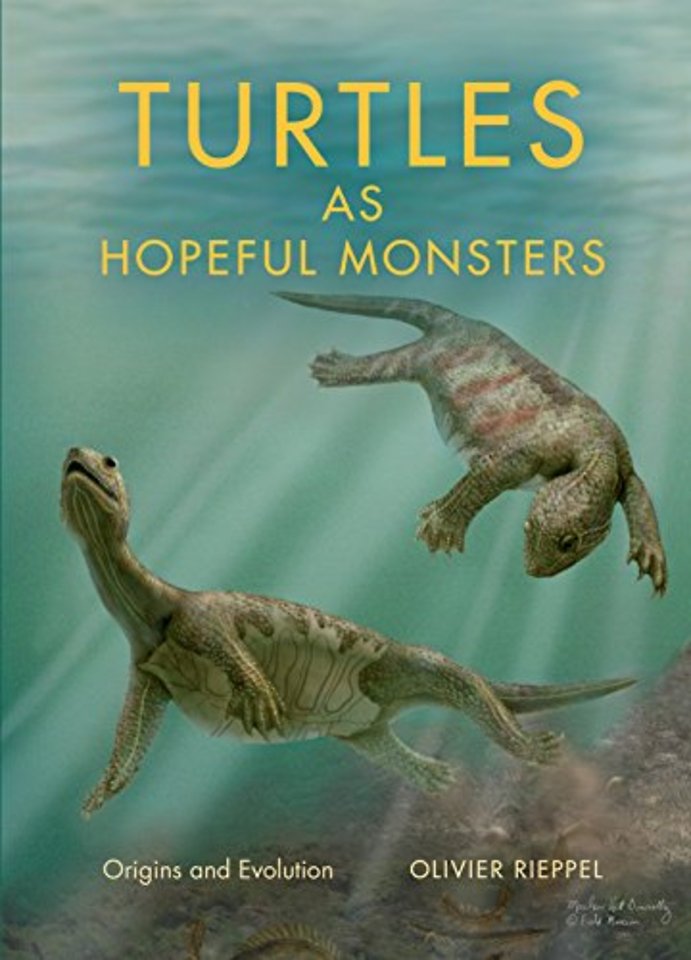 Turtles as Hopeful Monsters – Origins and Evolution