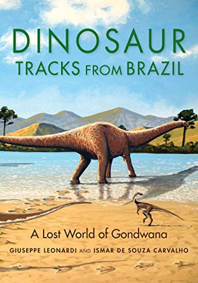 Dinosaur Tracks from Brazil – A Lost World of Gondwana