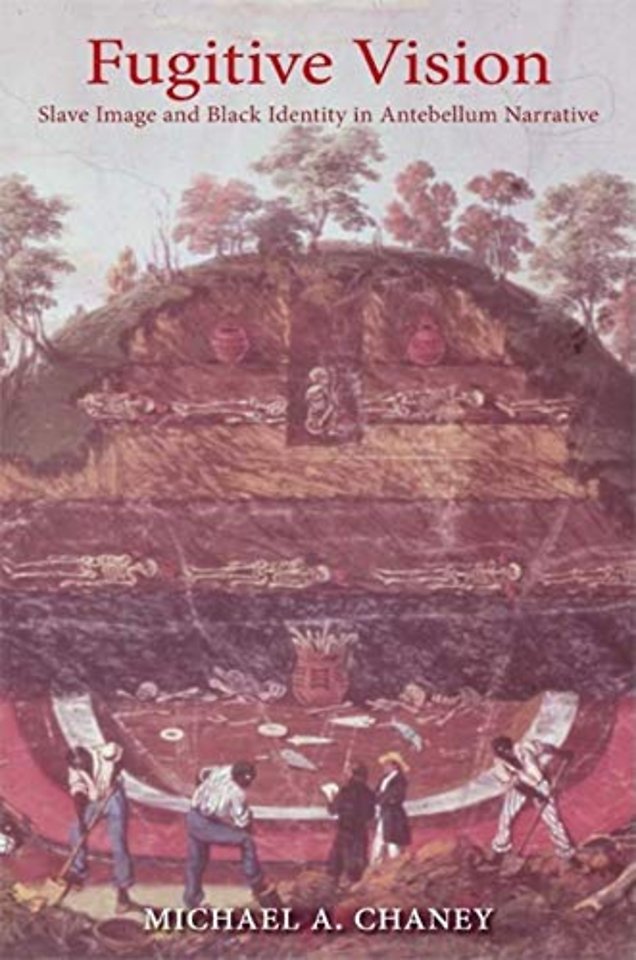 Fugitive Vision – Slave Image and Black Identity in Antebellum Narrative