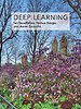 Deep Learning Deep Learning