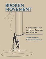 Broken Movement – The Neurobiology of Motor Recovery after Stroke