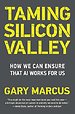 Taming Silicon Valley