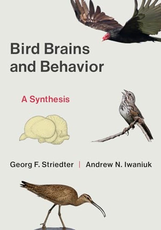 Bird Brains and Behavior