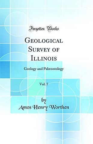 Geological Survey of Illinois, Vol. 7: Geology and Palæontology (Classic Reprint)