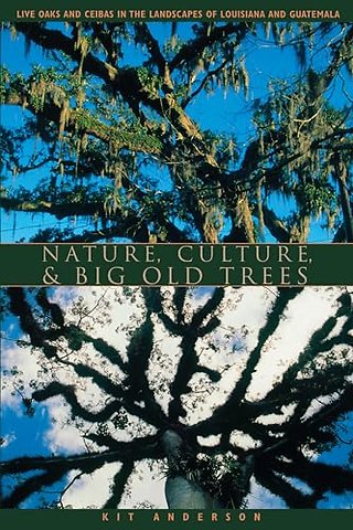 Nature, Culture, and Big Old Trees – Live Oaks and Ceibas in the Landscapes of Louisiana and Guatemala