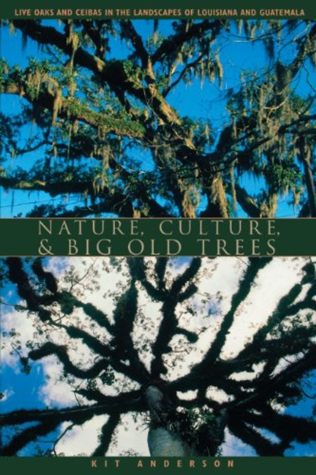 Nature, Culture, and Big Old Trees – Live Oaks and Ceibas in the Landscapes of Louisiana and Guatemala
