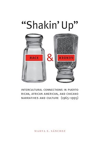 Shakin` Up Race and Gender – Intercultural Connections in Puerto Rican, African American, and Chicano Narratives and Culture (1965–1995)