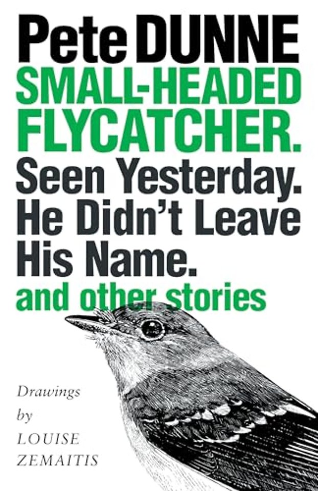 Small–headed Flycatcher. Seen Yesterday. He Didn – And Other Stories