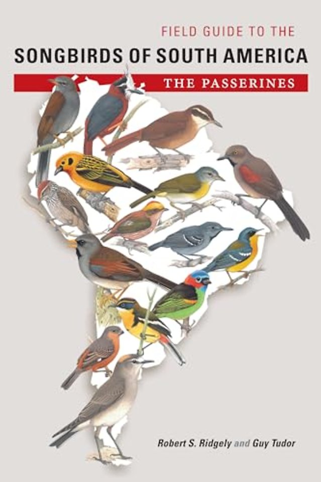 Field Guide to the Songbirds of South America – The Passerines