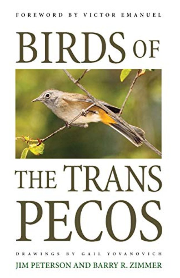 Birds of the Trans–Pecos