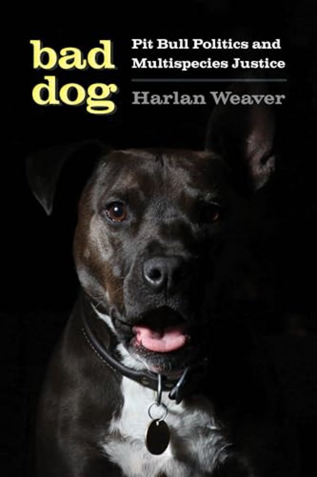 Bad Dog – Pit Bull Politics and Multispecies Justice
