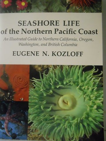 Seashore Life of the Northern Pacific Coast – An Illustrated Guide to Northern California, Oregon, Washington, and British Columbia