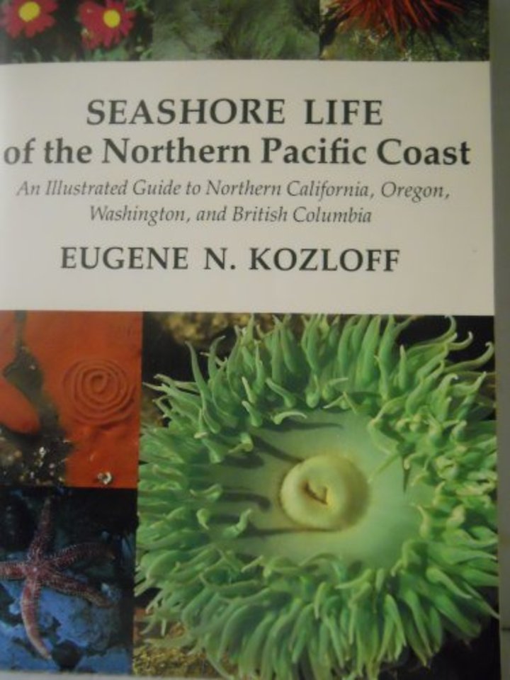 Seashore Life of the Northern Pacific Coast – An Illustrated Guide to Northern California, Oregon, Washington, and British Columbia