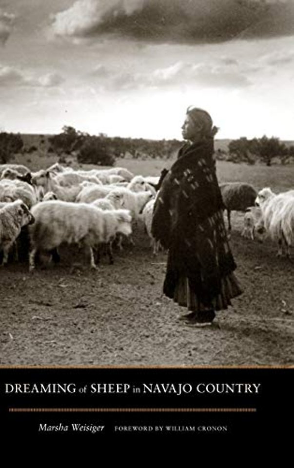 Dreaming of Sheep in Navajo Country
