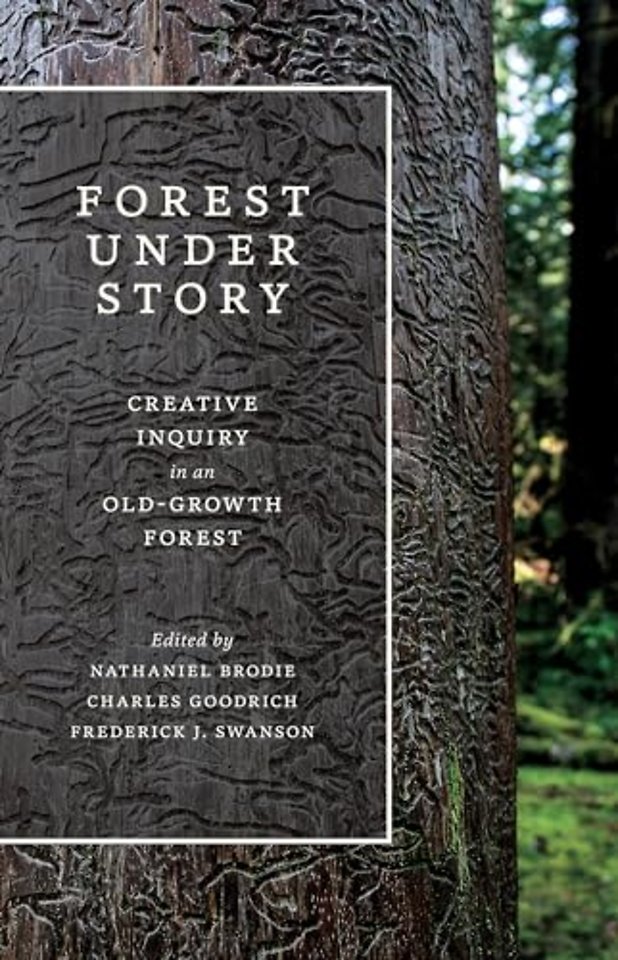 Forest Under Story – Creative Inquiry in an Old–Growth Forest