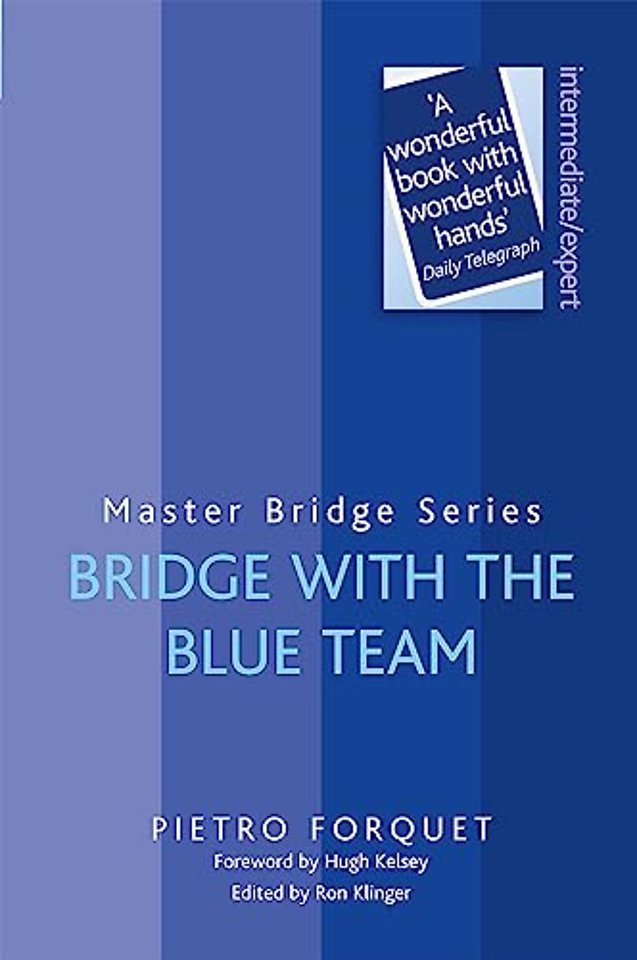 Bridge With The Blue Team