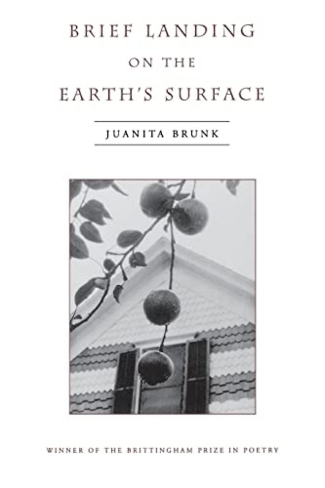 Brief Landing on the Earth's Surface