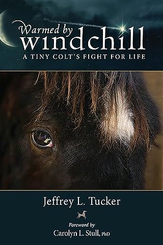 Warmed by Windchill – A Tiny Colt`s Fight for Life