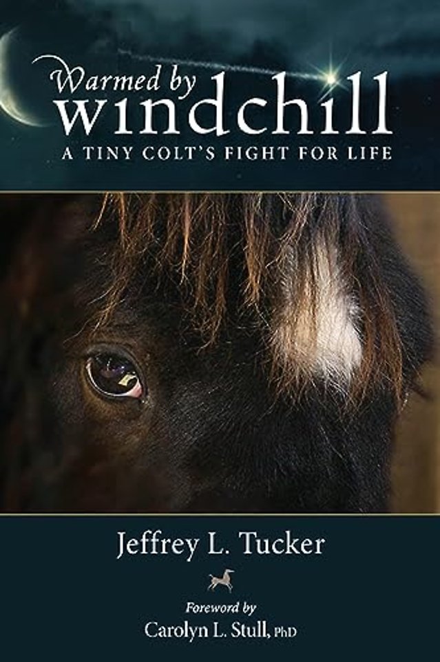 Warmed by Windchill – A Tiny Colt`s Fight for Life