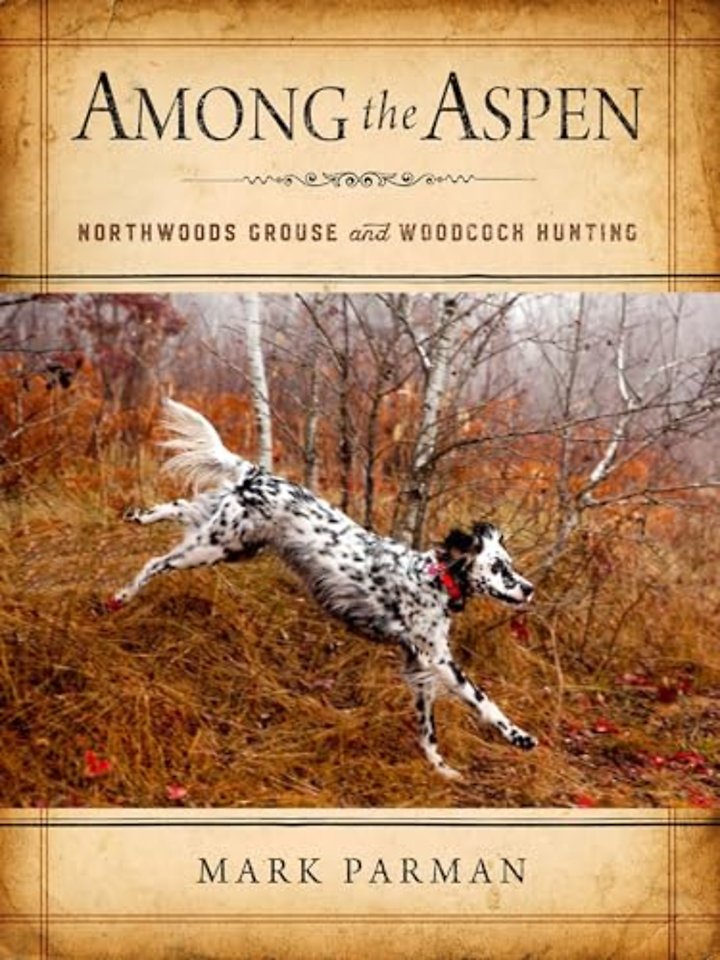 Among the Aspen – Northwoods Grouse and Woodcock Hunting