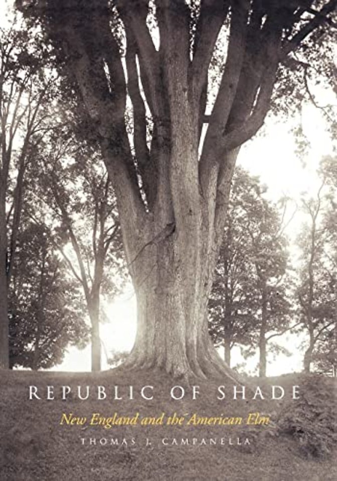 Republic of Shade – New England and the American Elm