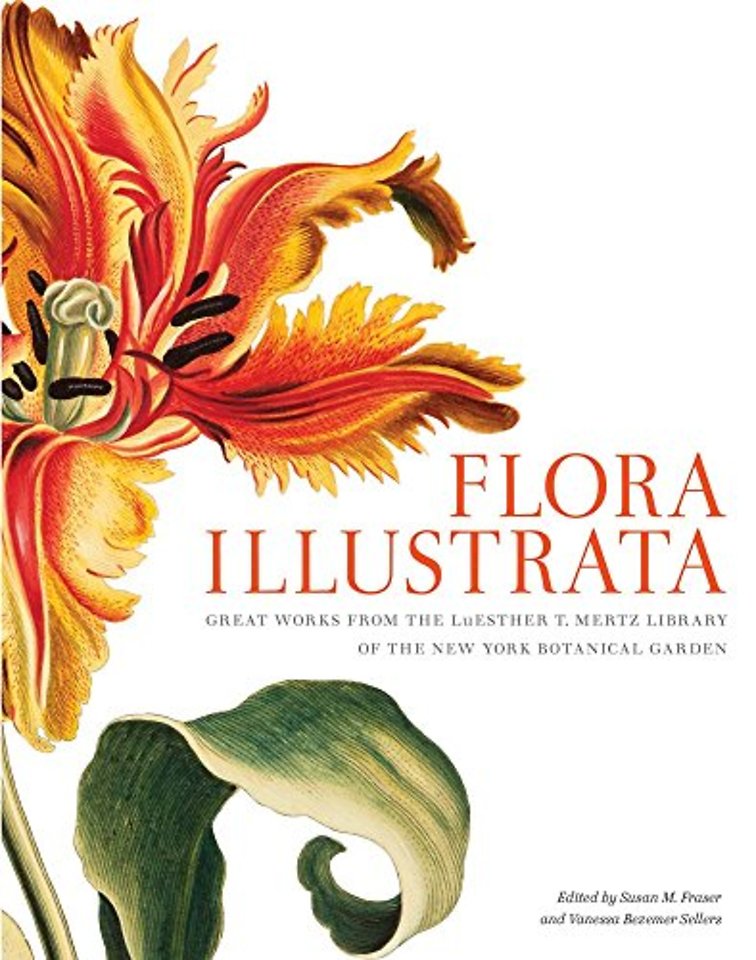Flora Illustrata – Great Works from the LuEsther T. Mertz Library of The New York Botanical Garden