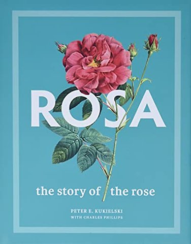 Rosa