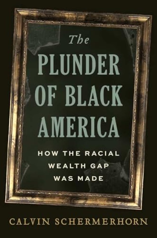 The Plunder of Black America – How the Racial Wealth Gap Was Made