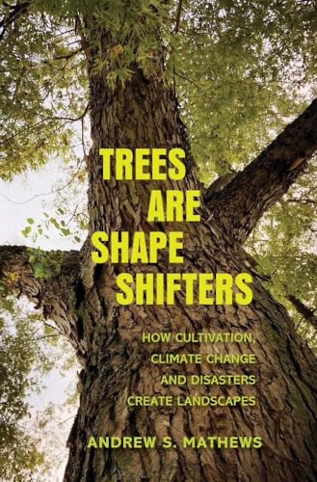 Trees Are Shape Shifters