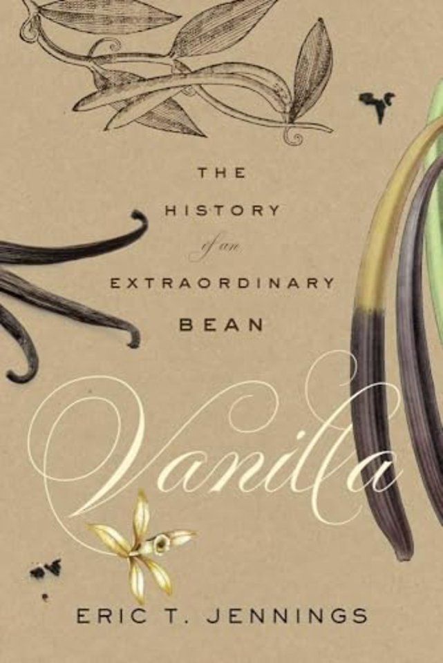Vanilla