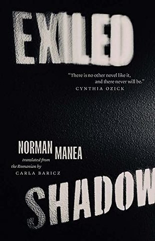 Exiled Shadow