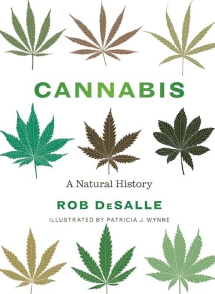Cannabis