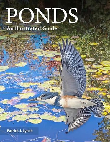 Ponds – An Illustrated Guide