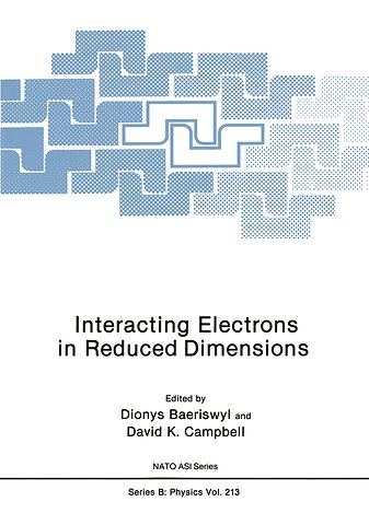 Interacting Electrons in Reduced Dimensions