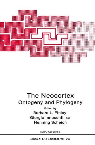 The Neocortex