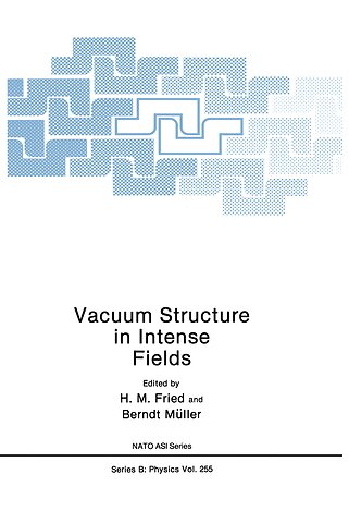Vacuum Structure in Intense Fields