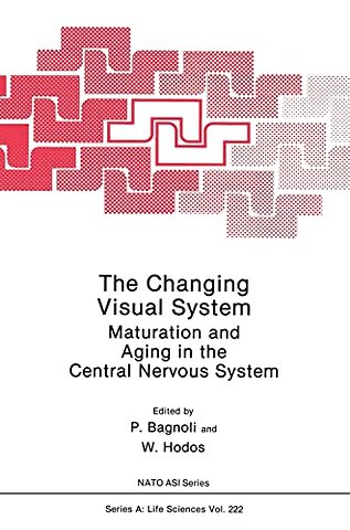 The Changing Visual System