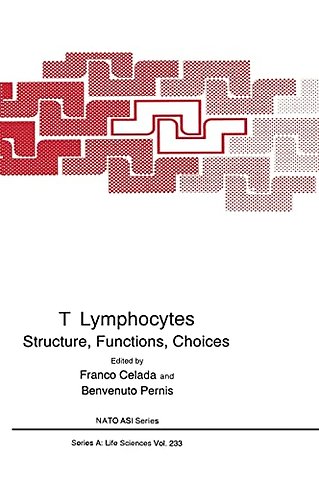 T Lymphocytes